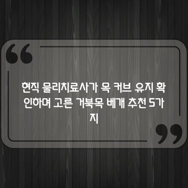 현직 물리치료사가 목 커브 유지 확인하며 고른 거북목 베개 추천 5가지 1 현직 물리치료사가 목 커브 유지 확인하며 고른 거북목 베개 추천 5가지
